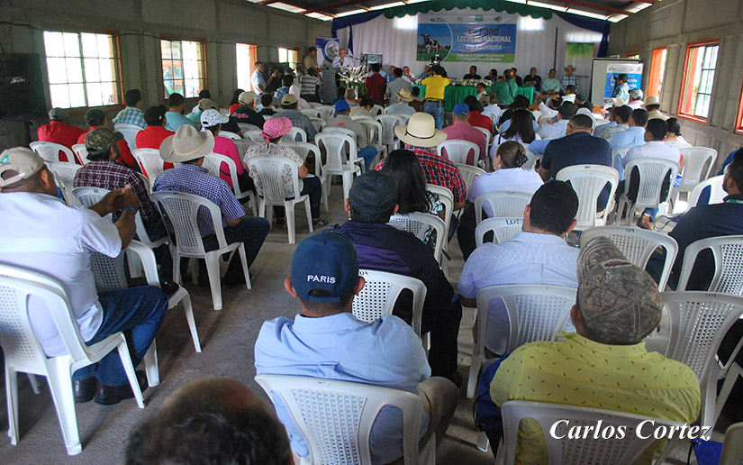 foro-lechero